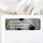 Ik hou van grote Pyreneeën die etiketten maken (Insitu)