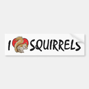 Ik hou van hart eekhoorns - eekhoornliefhebber bumpersticker