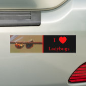 Ik hou van hart lieveheersbeestjes Natuur Bumpersticker (Op auto)