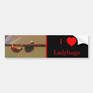Ik hou van hart lieveheersbeestjes Natuur Bumpersticker