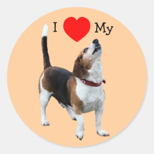 Ik hou van hart mijn beagle hond sticker