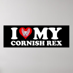 Ik hou van (Hart) mijn Cornish Rex Poster