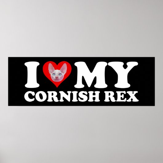 Ik hou van (Hart) mijn Cornish Rex Poster (Voorkant)
