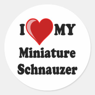 Ik hou van (hart) mijn miniatuur schnauzer hond ronde sticker