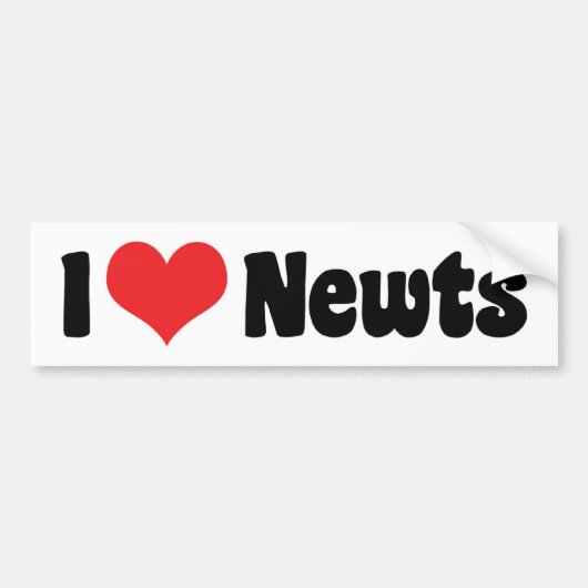 Ik hou van hart salamanders bumpersticker (Voorkant)