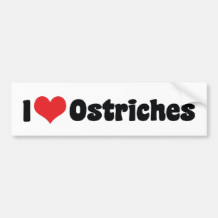 Ik hou van hartstruisvogels - Struisvogelliefhebbe Bumpersticker
