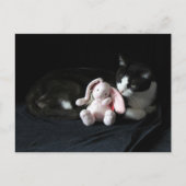 Ik hou van het postoversteken van een Bunny-Briefk Briefkaart (Voorkant)