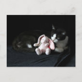 Ik hou van het postoversteken van een Bunny-Briefk Briefkaart (Voorkant)