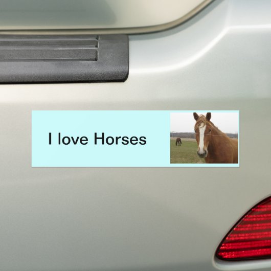 Ik hou van Horses Bumpersticker (Op auto)
