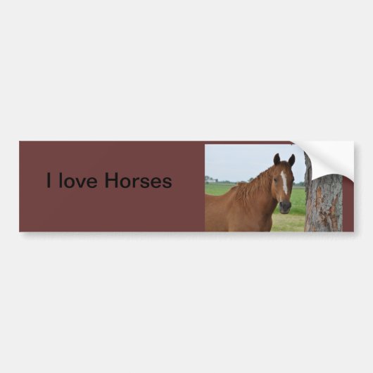 Ik hou van Horses Bumpersticker (Voorkant)
