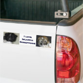 Ik hou van IJslandse schapen Bumpersticker (Op Truck)