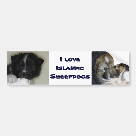 Ik hou van IJslandse schapen Bumpersticker (Voorkant)