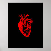 Ik hou van / ik hart anatomie