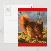 Ik hou van je aardbei briefkaart (Voorkant / Achterkant)