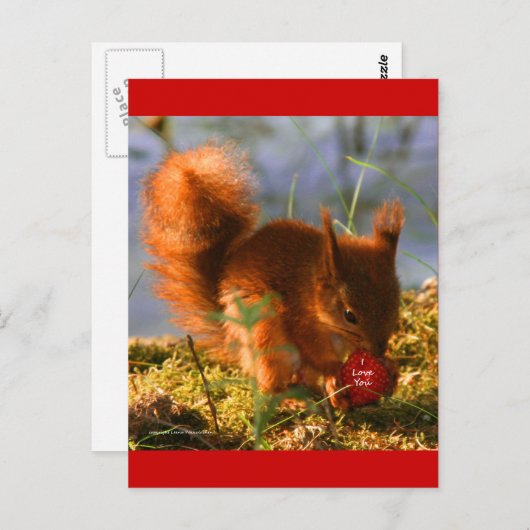 Ik hou van je aardbei briefkaart (Voorkant / Achterkant)