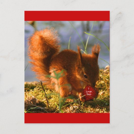 Ik hou van je aardbei briefkaart (Voorkant)