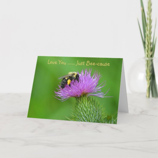 Ik hou van je alleen maar voor de bijen. kaart (Voorkant)