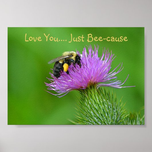 Ik hou van je alleen maar voor de bijen. poster (Voorkant)