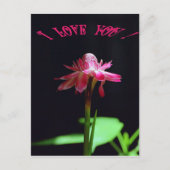 Ik hou van je briefkaart (Voorkant)