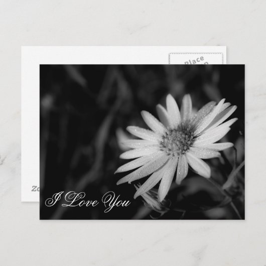 Ik hou van je briefkaart (Voorkant / Achterkant)