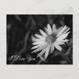 Ik hou van je briefkaart