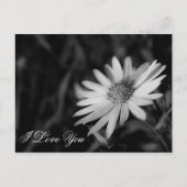 Ik hou van je briefkaart (Voorkant)