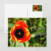 Ik hou van je briefkaart (Voorkant / Achterkant)