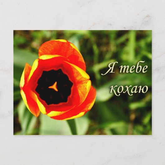 Ik hou van je briefkaart (Voorkant)