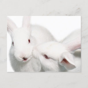 Ik hou van je briefkaart