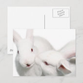 Ik hou van je briefkaart (Voorkant / Achterkant)