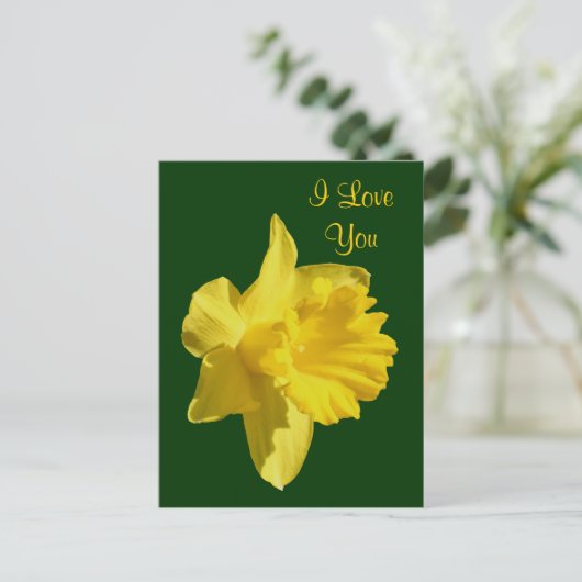 Ik hou van je Daffodil Flower Photo Briefkaart (Staand voorkant)