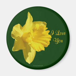 Ik hou van je Daffodil Flower Photo Magnet
