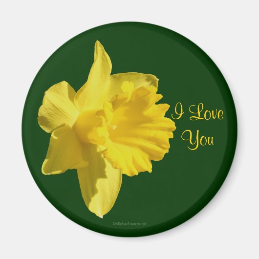 Ik hou van je Daffodil Flower Photo Magnet (Voorkant)