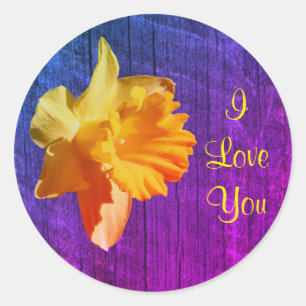 Ik hou van je diaffodilloer ronde sticker
