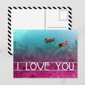 ik hou van je : eenden briefkaart (Voorkant / Achterkant)