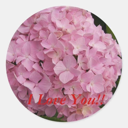 Ik hou van je!! Hydrangea Stickers (Voorkant)
