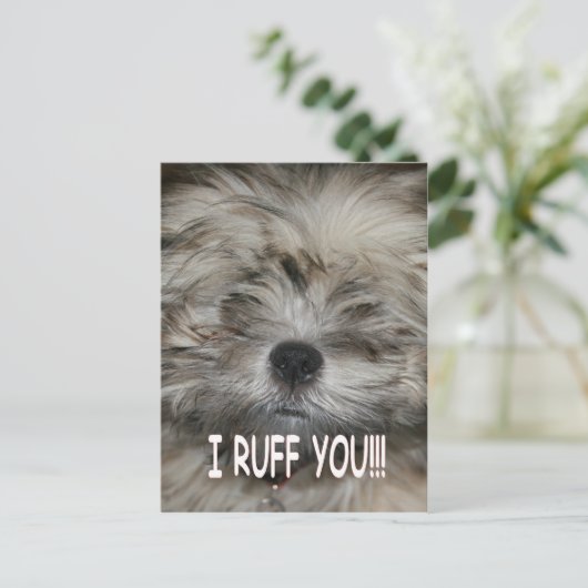 Ik hou van je... ik ruw je zielige hondenpuppy. briefkaart (Staand voorkant)