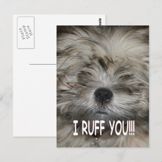 Ik hou van je... ik ruw je zielige hondenpuppy. briefkaart (Voorkant / Achterkant)