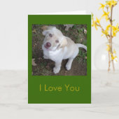 Ik hou van je, je bent mijn favoriete mens kaart (Gele Bloem)