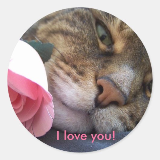 Ik hou van je kat Sticker (Voorkant)