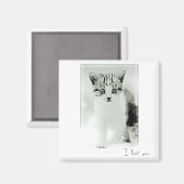 Ik hou van je Kitten Magneet (Voorkant / Achterkant)