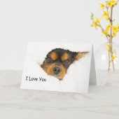 Ik hou van je koning Charles Spaniel die uit de po Kaart (Gele Bloem)