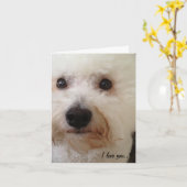 "Ik hou van je, meer!" Kaart (Gele Bloem)