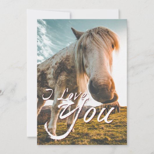Ik hou van je met kijkend paard (Voorkant)