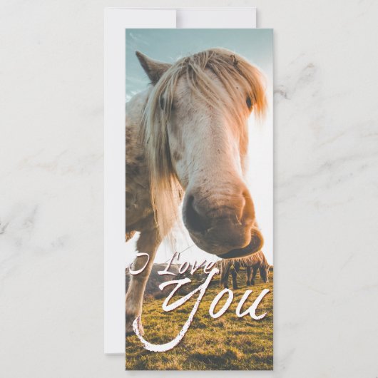 Ik hou van je met kijkend paard (Voorkant)
