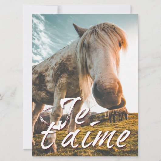 Ik hou van je met paard bekeken (Voorkant)