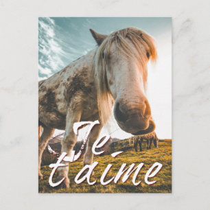 Ik hou van je met paard bekeken feestdagenkaart