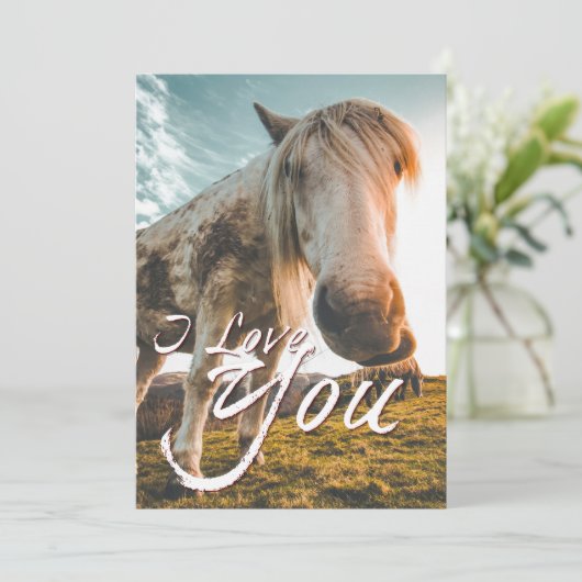 Ik hou van je met uitziende paarden (Staand voorkant)