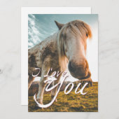 Ik hou van je met uitziende paarden (Voorkant / Achterkant)