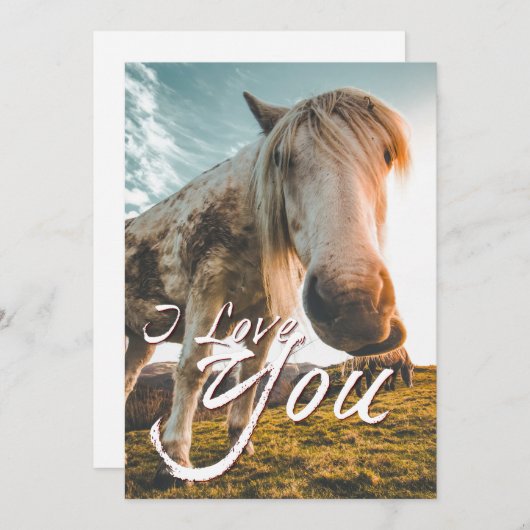 Ik hou van je met uitziende paarden (Voorkant / Achterkant)